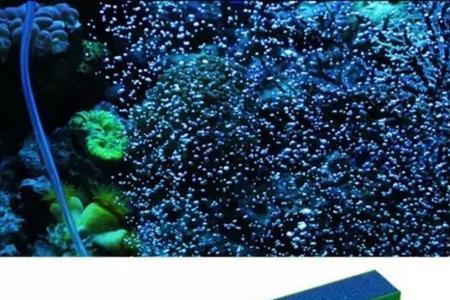 鱼缸气泡石的正确使用方法