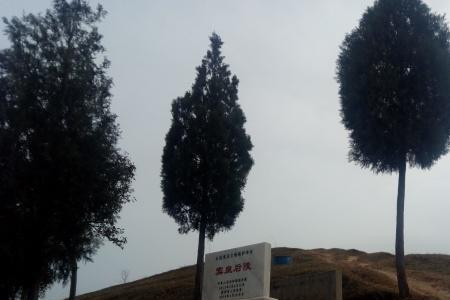 兵马俑和白鹿原哪个好玩
