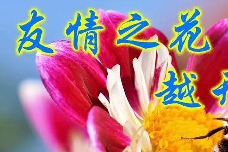 天天发祝福的男人是什么心态
