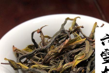 秋乌叶茶介绍