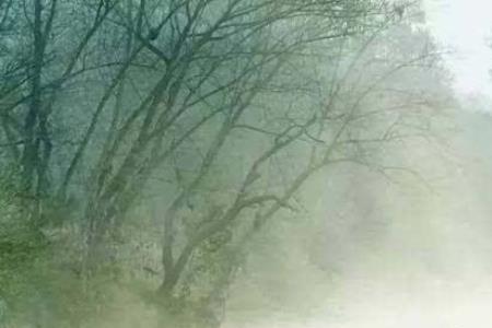 淡墨人生是啥意思