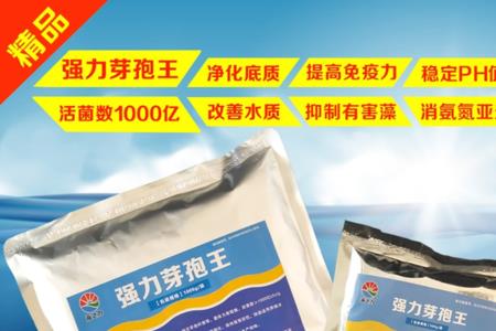 虾池培菌培藻用什么