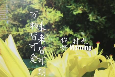 或可期意思