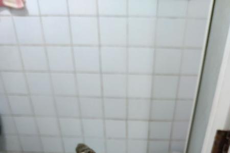 热水器镁棒为什么没了