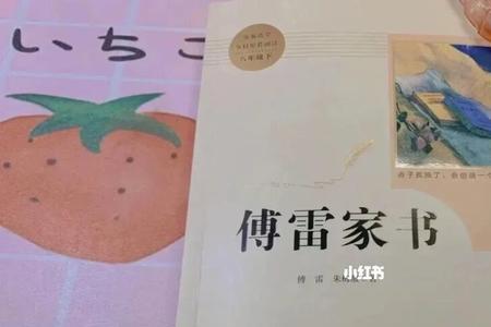 傅雷家书1961-1966概括