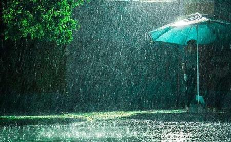 巴陵夜雨 诗词