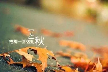 八月份立秋温度