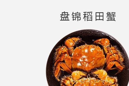 盘锦河蟹保温箱尺寸