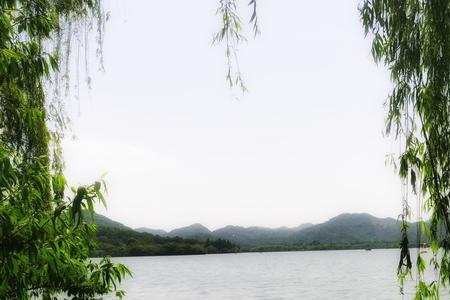 揽柳的意思