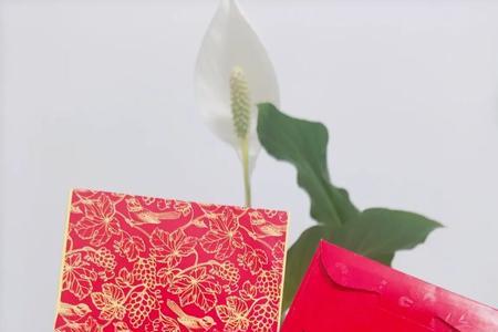 给考上研究生红包怎么写祝词