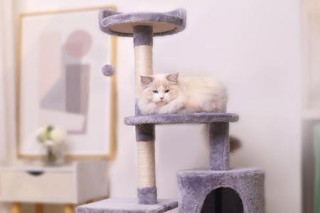 猫爬架是易损件吗