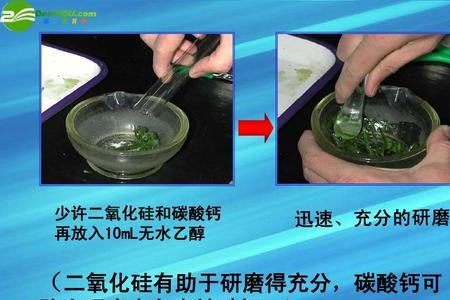 碳酸钙可以和水相互转化吗