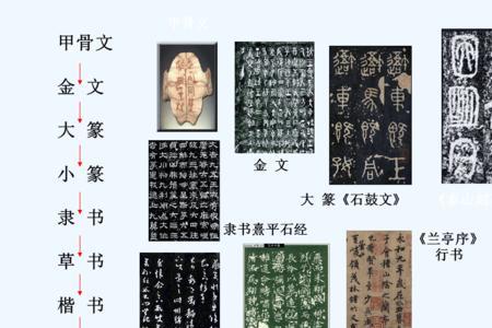 与植物有关的汉字演变过程