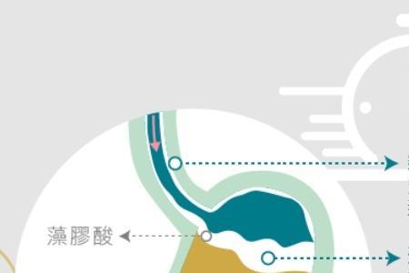藻酸盐是怎么形成的