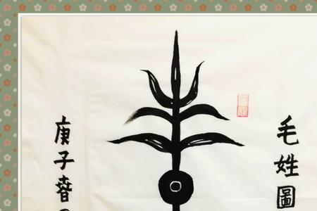 毛姓有多少名将