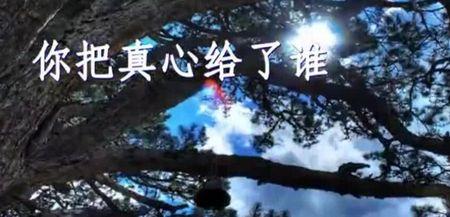 你听到了没原唱