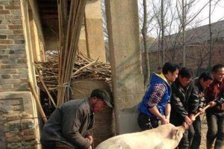 打牛人是什么意思