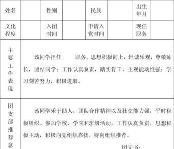 团员职务描述怎么填