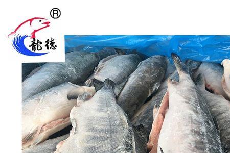 大马哈鱼谁孵蛋
