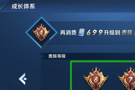 王者荣耀300元是vip几