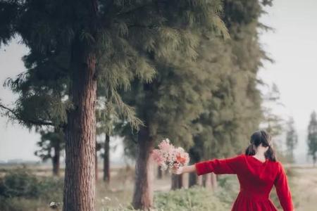 不枉来世走一遭意思