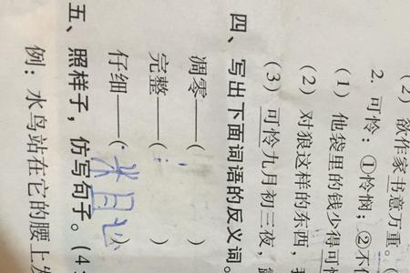 巨大的反义词