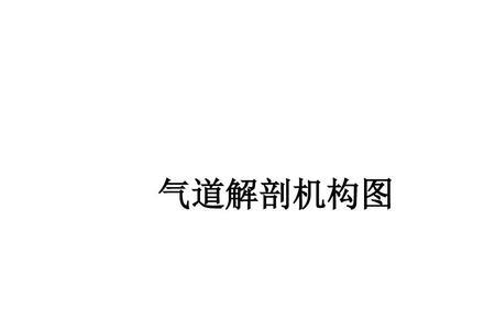 ‎简述气管壁的光镜结构​