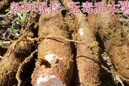 白皮木薯和红皮木薯哪个有毒