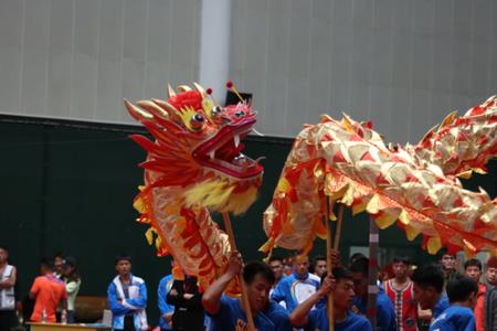 舞龙基本功训练方法