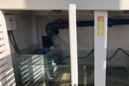 三重溢流底滤缸杂质吸不走