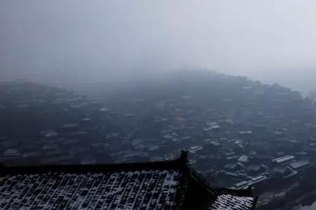 愿为瓦上霜