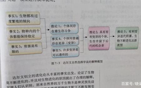 自然发生学说是谁提出的