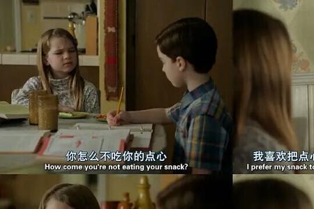 谢尔顿妹妹嫁给哪个家族