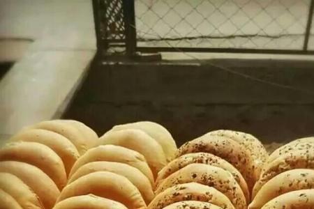 胡麻饼可以直接喂羊吗