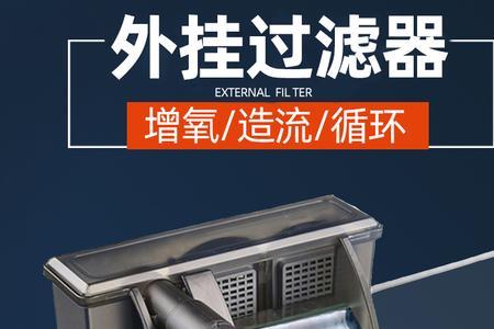 小鱼缸水加到过滤器哪个位置
