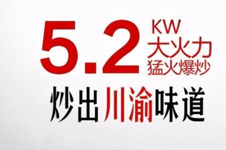 sailva是什么品牌燃气灶