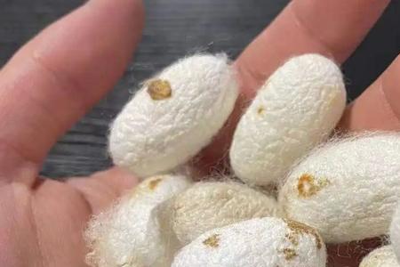 蚕茧分级标准