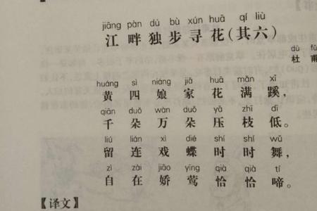 江畔独步寻花杜甫其三注音版