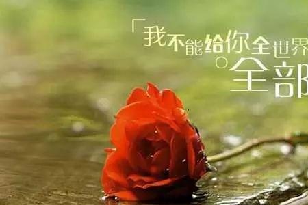 对思念已久女人表达的情话