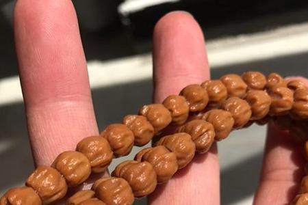 百香籽小鸟好不好