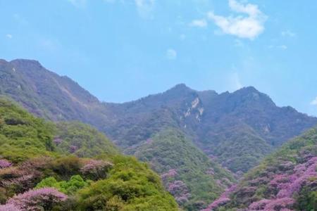 秦岭哪个峪口还开着