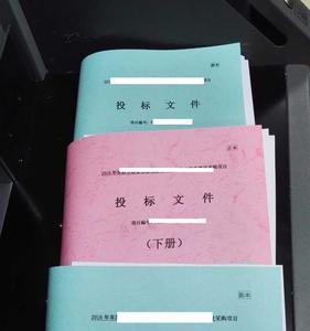 标书一般文档规格