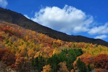 张家口海拔高度排名