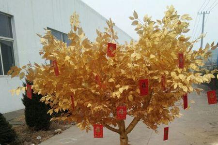 黄金树的寓意是什么