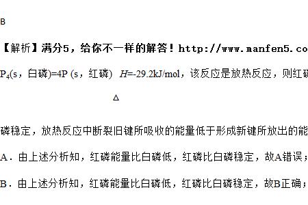 31克白磷中含多少磷原子