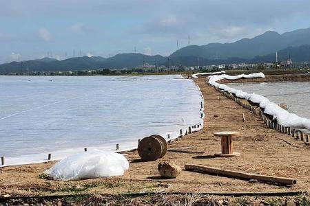 虾池水往外排虾会跑吗