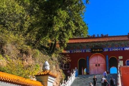 香山能自己在家烧吗