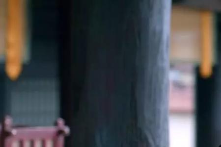 琅琊榜高公公给的毒酒