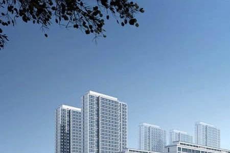 滨湖望璞悦备案价