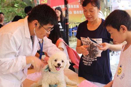 南京农业大学宠物医院营业时间